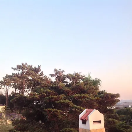ゲストハウス Casa Da Floresta *