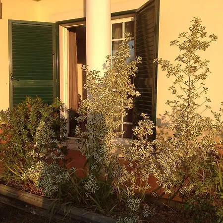 Casa Da Floresta